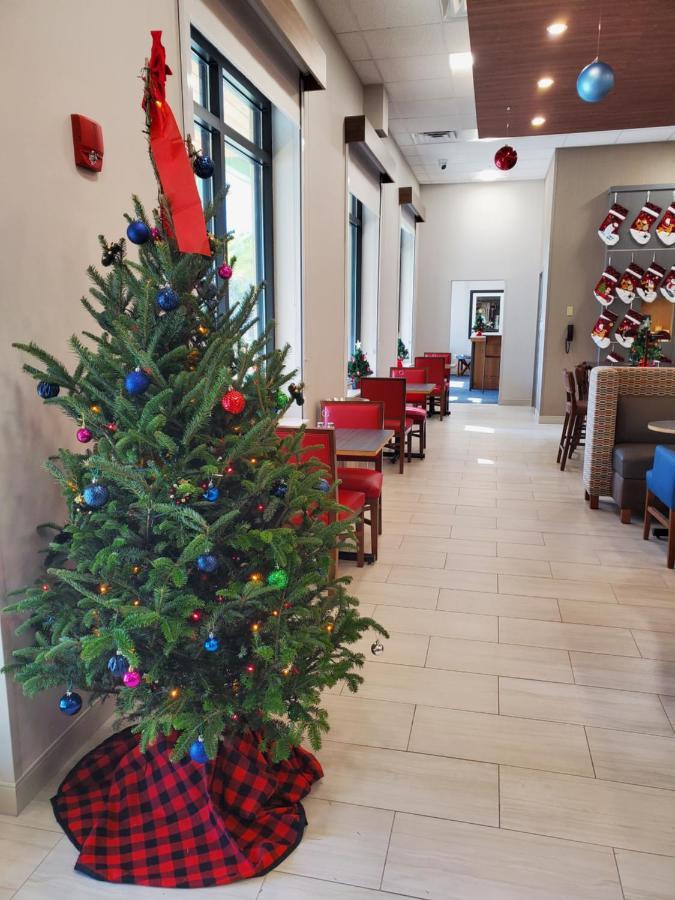 Holiday Inn Express St. Augustine - Vilano Beach By Ihg المظهر الخارجي الصورة